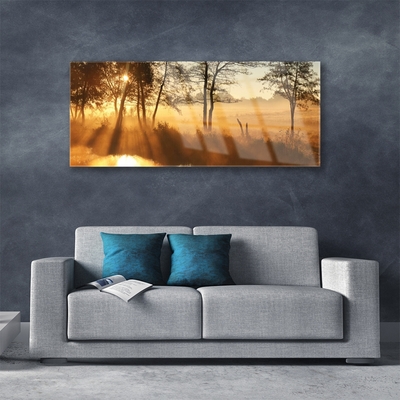 Acrylglasbilder Bäume Natur