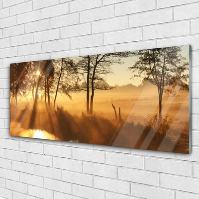 Acrylglasbilder Bäume Natur