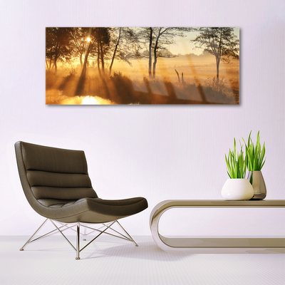 Acrylglasbilder Bäume Natur