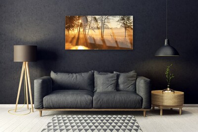Acrylglasbilder Bäume Natur