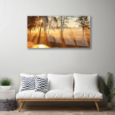 Acrylglasbilder Bäume Natur