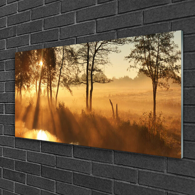Acrylglasbilder Bäume Natur