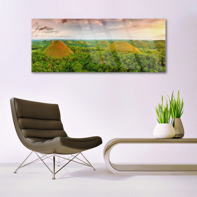 Acrylglasbilder Wald Natur