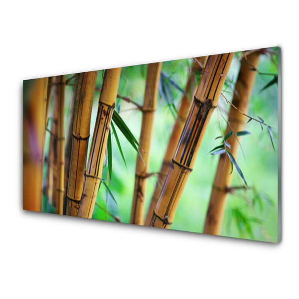 Acrylglasbilder Bambusrohr Natur