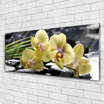 Acrylglasbilder Blumen Pflanzen