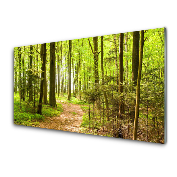 Acrylglasbilder Wald Natur