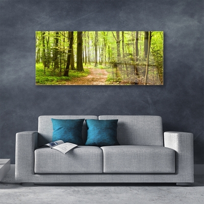 Acrylglasbilder Wald Natur