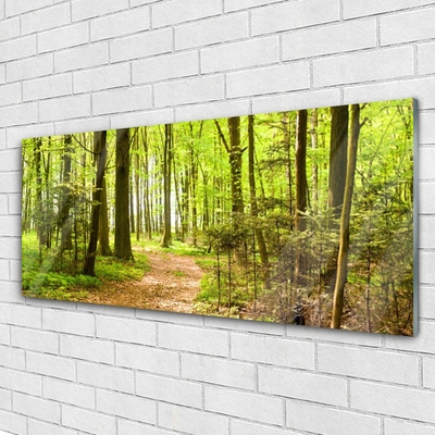 Acrylglasbilder Wald Natur