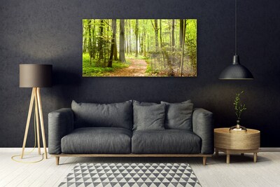 Acrylglasbilder Wald Natur