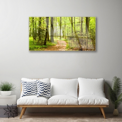 Acrylglasbilder Wald Natur