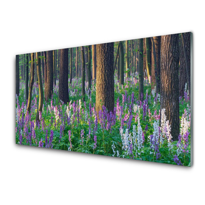 Acrylglasbilder Wald Natur