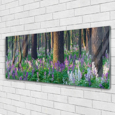 Acrylglasbilder Wald Natur