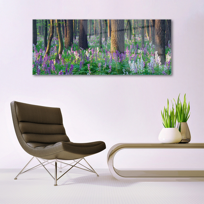 Acrylglasbilder Wald Natur