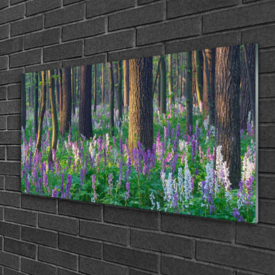 Acrylglasbilder Wald Natur