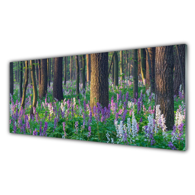 Acrylglasbilder Wald Natur