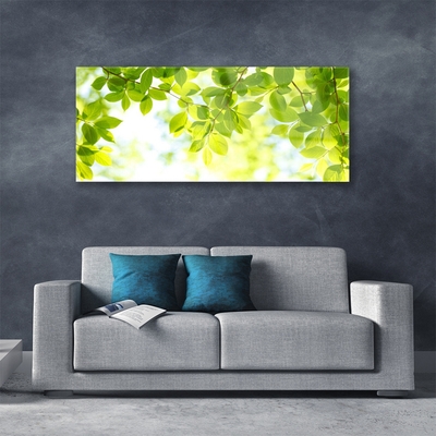 Acrylglasbilder Blätter Natur