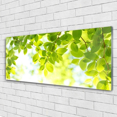 Acrylglasbilder Blätter Natur