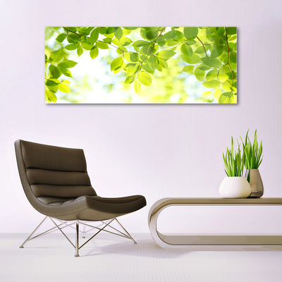 Acrylglasbilder Blätter Natur
