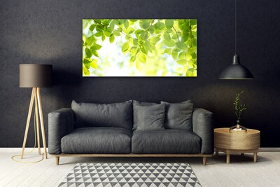 Acrylglasbilder Blätter Natur