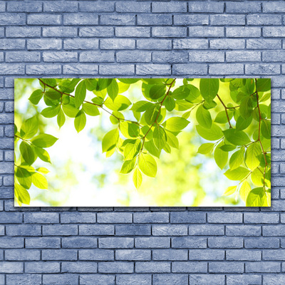 Acrylglasbilder Blätter Natur