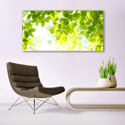 Acrylglasbilder Blätter Natur
