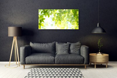 Acrylglasbilder Blätter Natur