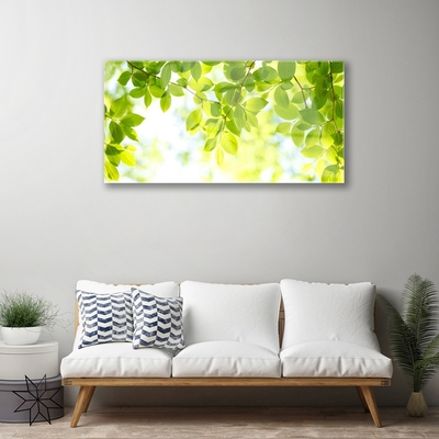 Acrylglasbilder Blätter Natur