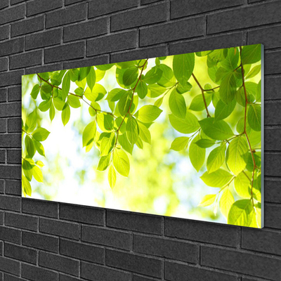 Acrylglasbilder Blätter Natur