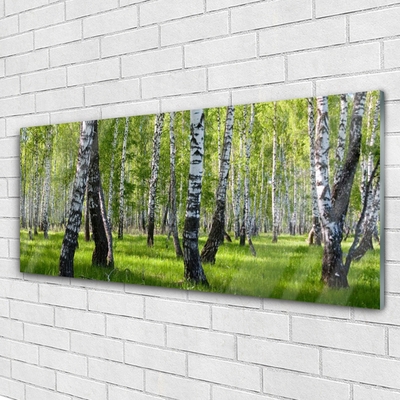 Acrylglasbilder Wald Natur