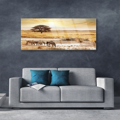 Acrylglasbilder Wüste Landschaft