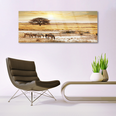 Acrylglasbilder Wüste Landschaft