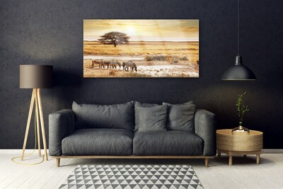 Acrylglasbilder Wüste Landschaft