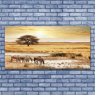 Acrylglasbilder Wüste Landschaft