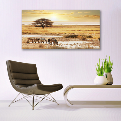Acrylglasbilder Wüste Landschaft