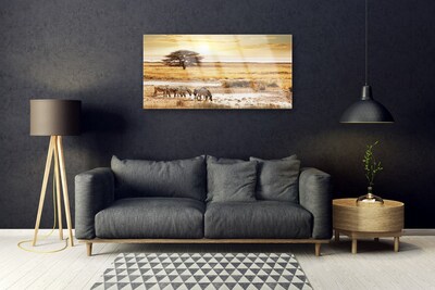 Acrylglasbilder Wüste Landschaft