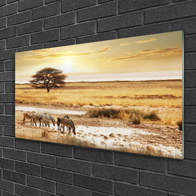 Acrylglasbilder Wüste Landschaft