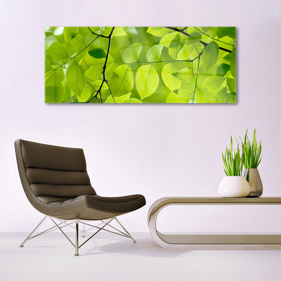 Acrylglasbilder Blätter Natur