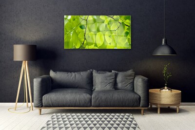 Acrylglasbilder Blätter Natur