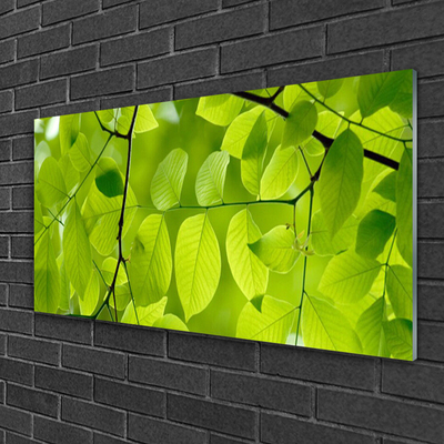 Acrylglasbilder Blätter Natur