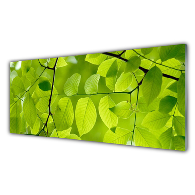 Acrylglasbilder Blätter Natur