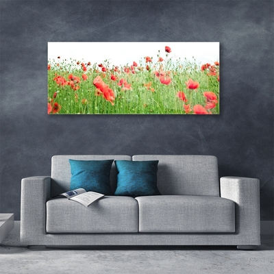 Acrylglasbilder Mohnblumen Natur