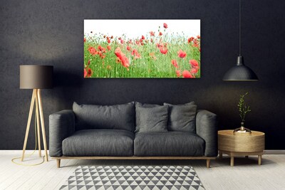 Acrylglasbilder Mohnblumen Natur