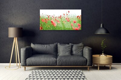 Acrylglasbilder Mohnblumen Natur