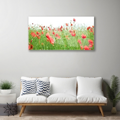 Acrylglasbilder Mohnblumen Natur