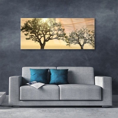 Acrylglasbilder Bäume Natur