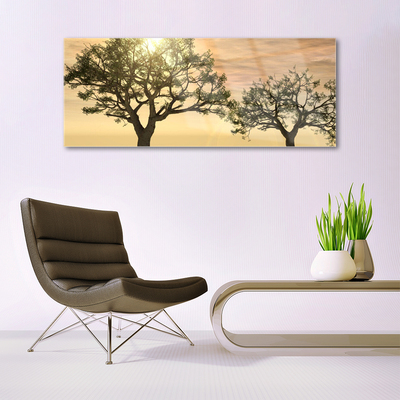 Acrylglasbilder Bäume Natur