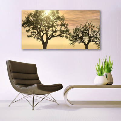 Acrylglasbilder Bäume Natur