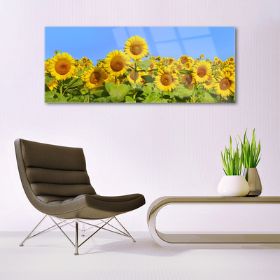 Acrylglasbilder Sonnenblumen Pflanzen