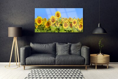 Acrylglasbilder Sonnenblumen Pflanzen