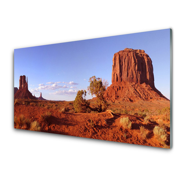 Acrylglasbilder Wüste Landschaft